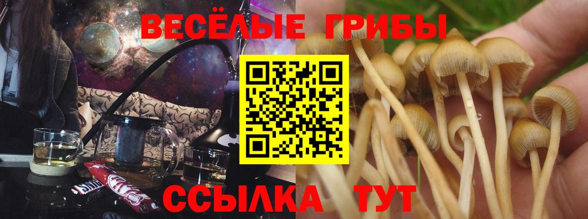 Псилоцибиновые грибы GOLDEN TEACHER  Галлюциногенные грибы Psilocybe  Чита  Вход с VPN 
